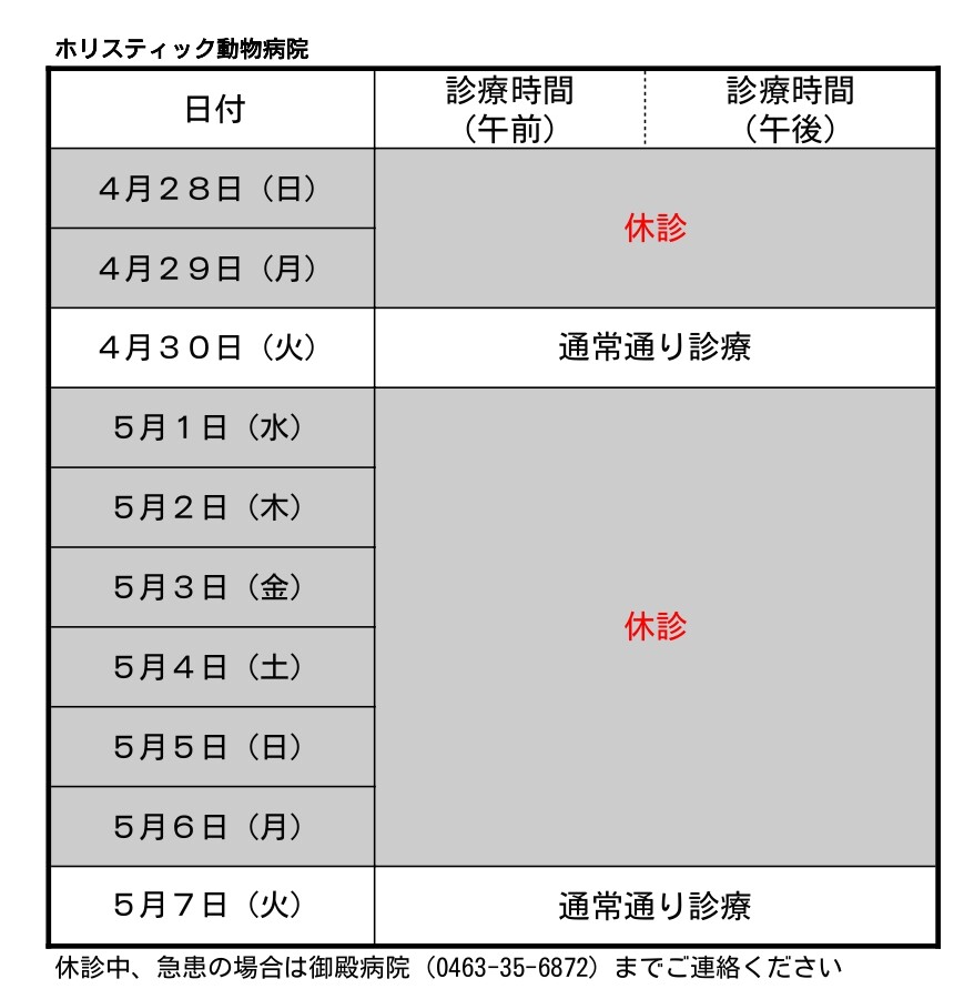 ほりｇｗ２０２４_page-0001