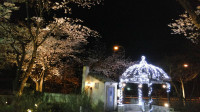 春スキー＆寄居Ｐ