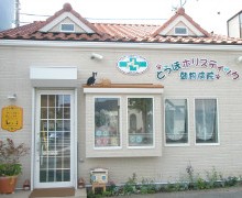 オゾン少量自家血療法