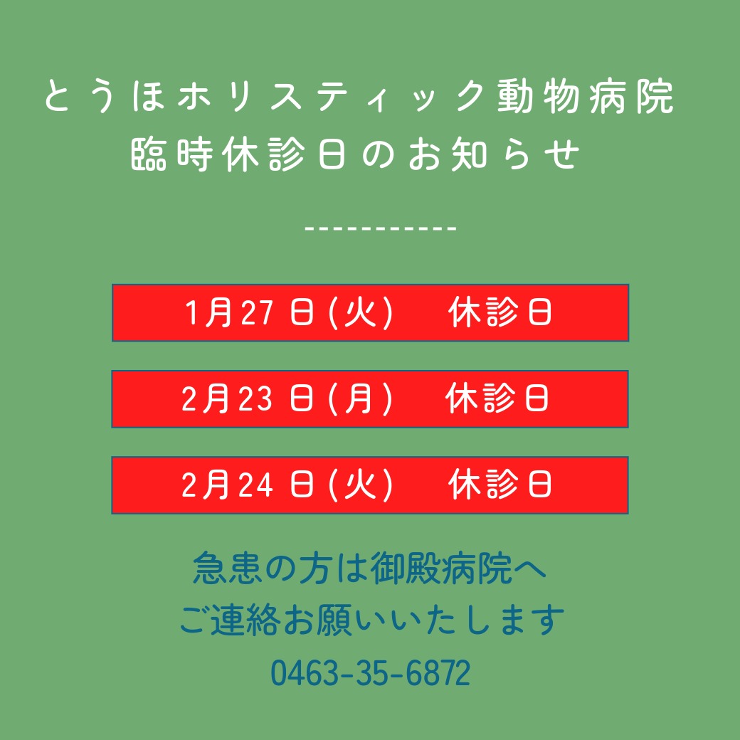 名称​未​設定